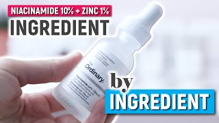 The Ordinary Niacinamide 10% + 1% Zinc after 3 Months of use | INGREDIENT BY INGREDIENT ANALYSIS