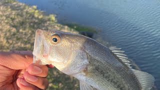 Fishing at golf coarse pond