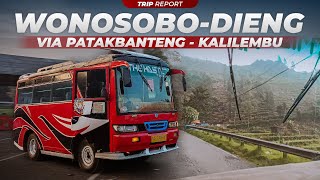 BUS KECIL SAKTI, ANDALAN PARA PENDAKI! 🔥😂 | Trip Report Mikro Bus dari Wonosobo ke Dieng