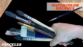 My favorite watercolor brushes/ Mis pinceles  favoritos para  Acuarelas.