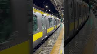 Train arriving in Tokyo - chuo sobu line