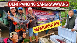 Jiging fishing Malam hari Strike Monster Cumi dan Ikan nya  Babon Babon @tonkmancing4864