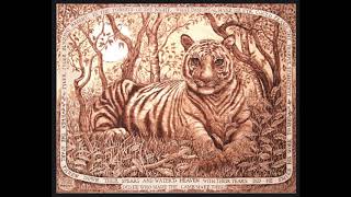 The Tyger William Blake - St. Gerard - Mr. M