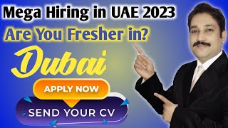 Jobs in Dubai 2023| Dubai Jobs 2023| UAE Jobs Today 2023