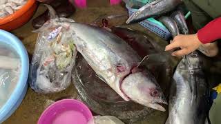 Morning Market Vlog | Vendor Full Skill Cutting Big Tuna Fish | FLV Official