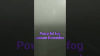 #powerful Fog #December Fog 5metar watched #@kncRao