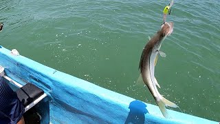 Buscando Robalos, Corvinas y Jureles Grandes | Diferentes Puntos de Pesca | Pesca Yucatan