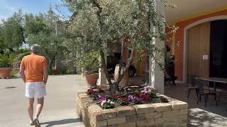 Winery Marchesini, Lazise