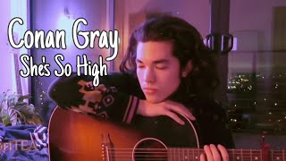 She's So High - Conan Gray Edit