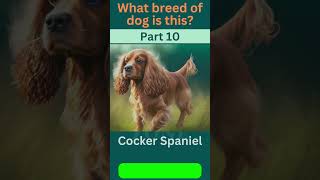 🐾 Guess the Breed Challenge! Part - 10 🐶| Dog Breed  | Dog Lovers