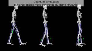 OpenSim simulation