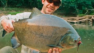 10 River Monsters Caught in the Amazon