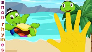 Finger Family Rhymes for Kids | Tortoise Finger Family | Nursery Rhymes and Kids Songs