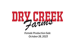 Dry Creek Farms Female Production Sale   October 28, 2023