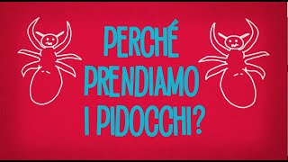 Perché prendiamo i pidocchi?