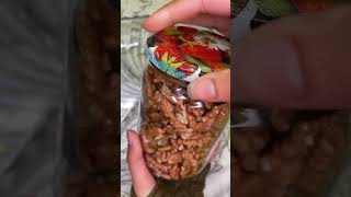 ✨ASMR✨ Filling Platter With Dry Fruits Compilation 14😋// Relaxing And Satisfying ASMR