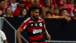 Ele Deixou o Flamengo e Foi Campeão da Libertadores Pelo Botafogo! Mas Volte logo Pro Flamengo!