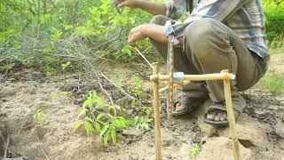 Amazing Chicken Trap Using Old Bike & Wood Work 100%