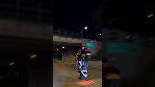 Solo Wheelie Display! Biker Crew Cruises to Downtown 🏍️🔥 #SoloWheelie #BikerCrew #CityCruise #shorts