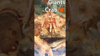 #giantcrabs #giantseafood #crabs#🦀😜🇮🇳👍crab