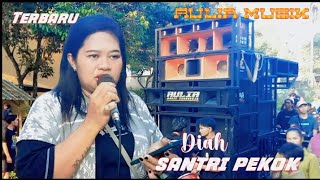 Terbaru AULIA MUSIK Lagu Santri Pekok cover Diah Loka