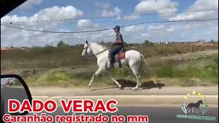 DADO VERAC #mangalargamachador/#mangalargadobrasil/#mangalargadeelite/#viral_video