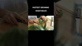 FASTEST GROWING VEGETABLES & SUBSCRIBE For More Tips #gardening #growingvegetable