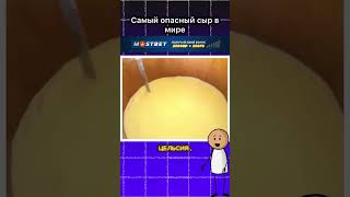 Самый опасный сыр а мире. Шок