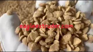 4ton per hour pet dog food extruder machine | twin screw extruder technology