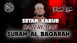 SURAT AL BAQARAH FULL PENGUSIR JIN SETAN DAN PELINDUNG RUMAH DARI SEGALA KEBURUKAN | ALAA AQEL