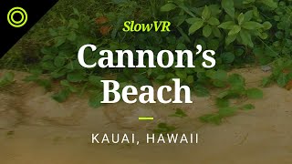 Cloudy Afternoon at Cannon's Beach - Kauai, Hawaii, USA [Slow VR 5K 360° Video & Sound]