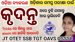 Krudanta Odia Grammar || Odia Grammar for OSSSC OAVS SSB TGT JT OTET