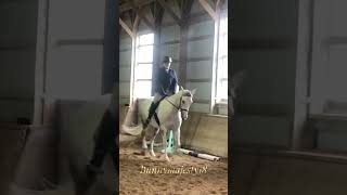 Horse back riding