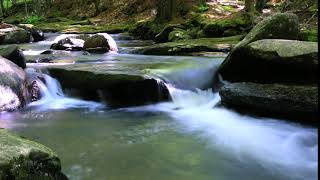 Royalty free reusable video #Water #Creek #Waterfall #Forest #Stream #Calm #Landscape