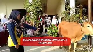 Idul Qurban SDN Curug 5