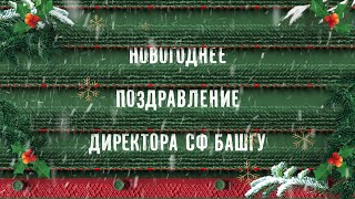 Новогоднее поздравление от директора СФ БашГУ