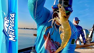 Pesca con Camarón VIVO || PARGO Y ROBALO || con linea a mano || SOYMRPESCA