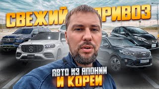 КАКИЕ АВТО ПОКУПАЮТ ПОД ЗАКАЗ ИЗ ЯПОНИИ И КОРЕИ⁉️