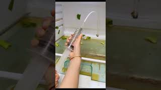 #Shorts Amazing Products TikTok Video | Refrigerator Drain Cleaning Kit