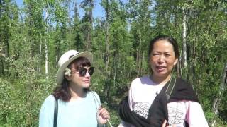 Chinese guests talking about North Star Adventures Cameron Falls Nature Hike Tour