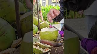 Best Sale! Fresh coconut fruits. #coconut #viralvideo #fresh #satisfying #shorts #short