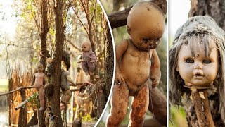 The Haunted Island of Dolls - the Mysterious and Terrifying Island in Mexico