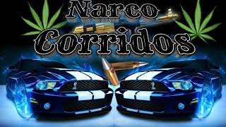 ✴️Narco Corridos ✴️Los Mejores Corridos ✴️