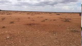 Masai children walking to school