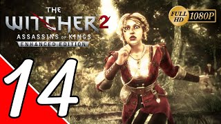 The Witcher 2: Assassin of Kings [1080p] - Walkthrough Part 14 - For Temeria! (Roche's Path)