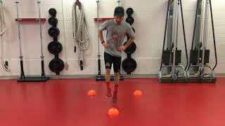 Ech ACL C 2 - Le ''Y'' avec cônes + one leg squat + Jump