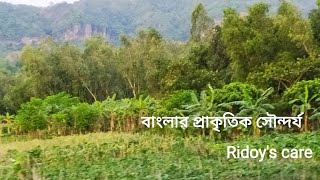 Beauty of Bangladesh | Ridoy's care|#shorts