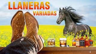 🐴Llaneras Variadas 2024🐴Vitico Castillo, Jorge Guerrero, Armando Martinez, Reynaldo Armas y mas