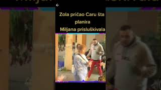 #shorts #zola #miljanakulić