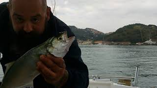 Pesca Dalla Barca - Sampei Passione Pesca - 15/10/2022.... alla fine si scappotta